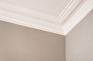 Bridport Coving Installation